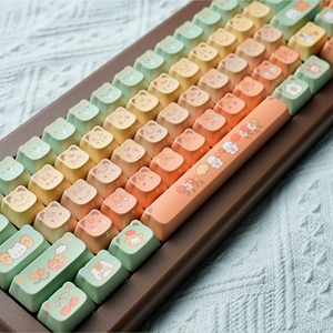 Shuanglin citrue gấu chất lượng cao độc đáo hiện đại Mũ chính dễ dàng làm sạch vật liệu PBT đảm bảo - Product Image 2