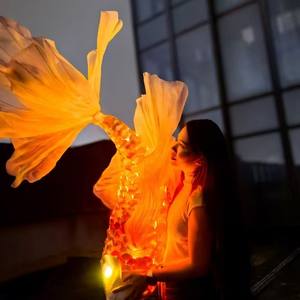 Y491New yıl yeni stil dekorasyon şenlikli atmosfer pencere sahne simülasyon dekorasyon el yapımı aydınlık Koi balık lamba - Product Image 4