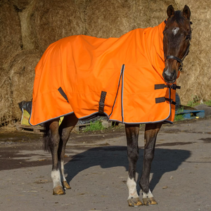 Couvertures pour chevaux imperméables de qualité supérieure, 100 à 450 GSM, tapis équestres de luxe pour temps froid et chaud - Product Image 1