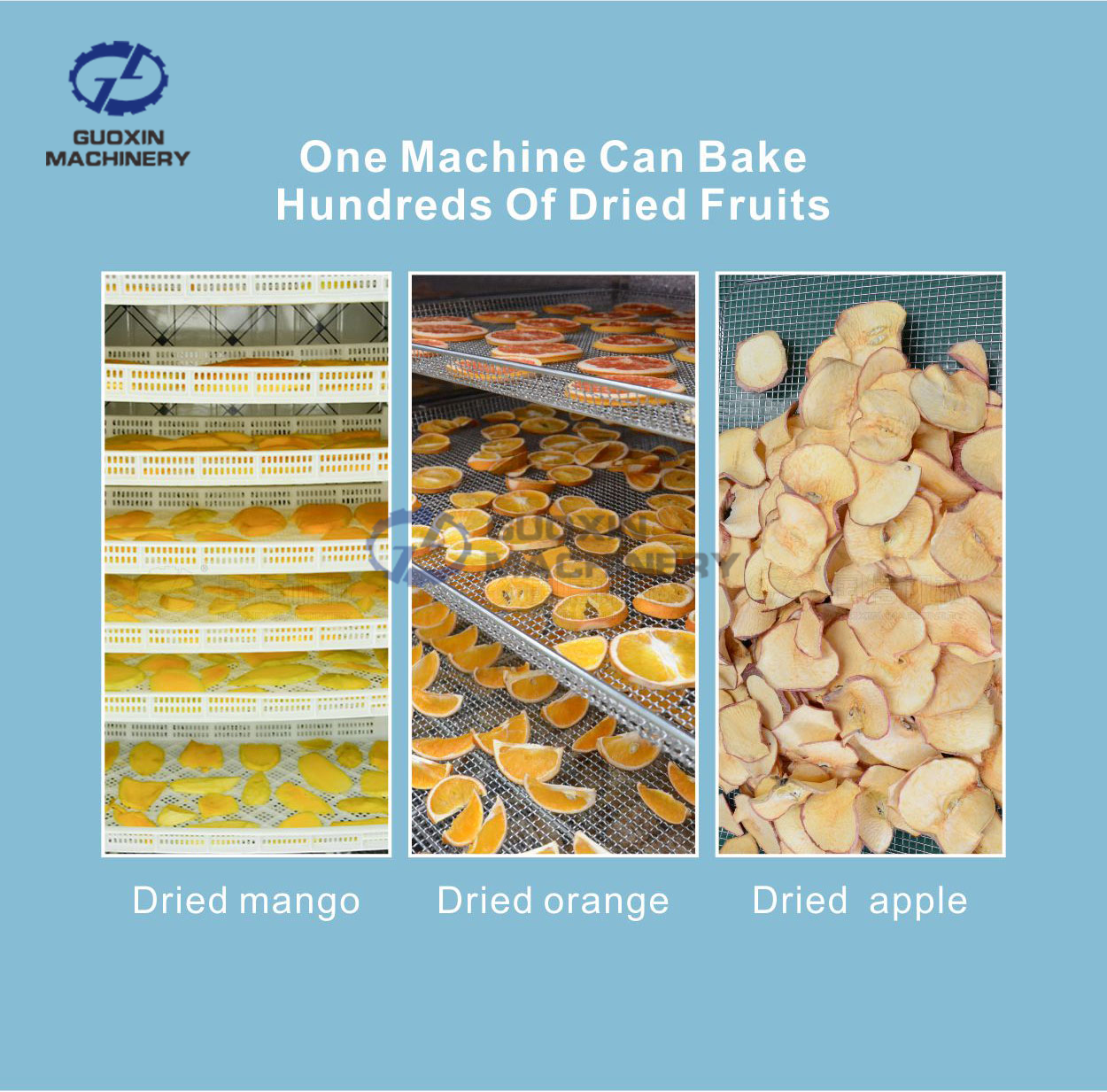 Cassava 10KG 送料込み 楽天市場】cassavaの通販