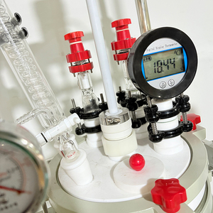 5L Doppelwandiger Glas-Kombireaktor für Kontrollierte Hydrolyse und Temperaturempfindliche Laborreaktionen - Product Image 2