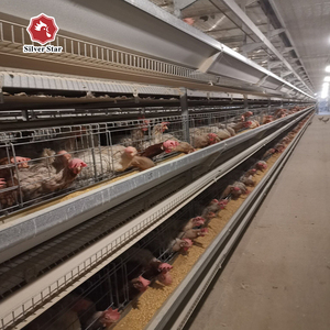 Diseño de Jaulas Automáticas para Gallinas Ponedoras de Codorniz - Product Image 3
