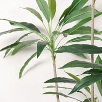 Plantas Artificiales de Terciopelo Plástico en Maceta para Decoración de Interiores, Hogar, Oficina y Jardín, Plantas Falsas, Plantas Artificiales