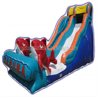 Toboggan aquatique gonflable pas cher pour enfants, grand toboggan aquatique gonflable Kahuna
