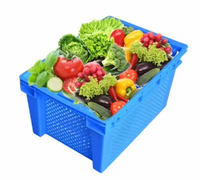 Zware transportkrat van gaas voor fruit en groenten met ventilatiegaten, afwatering, stapelbaar, voor de oogst, geventileerde kunststof krat