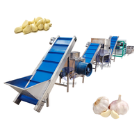 Automatische verse knoflookkruidnagel verwerkingssorteermachine Knoflookbollen breukmachine Knoflookpeelmachine Prijs
