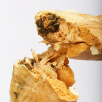Poudre de moule verte lyophilisée naturelle, riche en protéines, multi-protéines, pour la santé des articulations, friandises pour chats et chiens