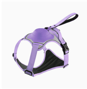 Harnais <span class=keywords><strong>de</strong></span> promenade rétractable pour <span class=keywords><strong>chien</strong></span> avec support dorsal, sans fermeture et anti-évasion, pour chiens <span class=keywords><strong>de</strong></span> taille moyenne et grande - Product Image 3