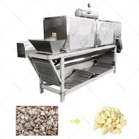 LONKIA – Machine commerciale à éplucher les gousses d'ail sèches, petit éplucheur de peau d'ail, prix