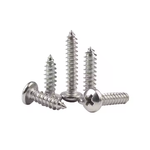 Vis autotaraudeuses en acier inoxydable SS 304 316 sur mesure, à tête cylindrique Phillips, pour le bois, vis à tête cruciforme, tornillos - Product Image 1