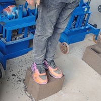 La machine de fabrication de briques en plastique recyclé peut fabriquer des briques de pavage Briques de maison