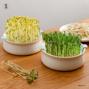 ถาดเพาะเมล็ดดินเผาแบบขายส่ง ถาดเพาะต้นกล้าเซรามิก ถาดปลูกต้นไม้สำหรับเพาะต้นกล้า - Product Image 2