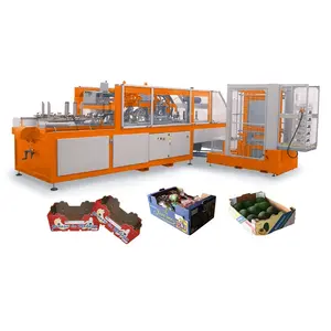 Automatic Fruit box forming machine, Paper Carton Box Making Machine for Vegetable Packaging