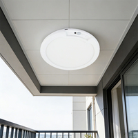 Plafonnier LED intelligent magnétique sans fil rechargeable, corps en ABS, télécommande, intensité réglable, écologique, blanc, utilisation intérieure/extérieure