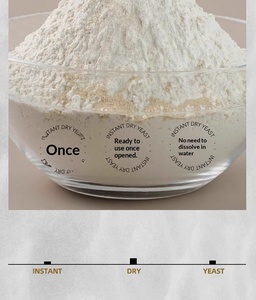 ยีสต์แห้งชนิดก่อฟองสูงสำหรับทำซาลาเปา 5 กรัม ฮาลาล บรรจุถุง เก็บในอุณหภูมิห้อง OEM - Product Image 5