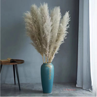 Bunga Kering Alami Grosir, Rumput Pampas Putih Coklat 50-60cm, Dekorasi Rumah, Pernikahan, Hari Ibu, Natal