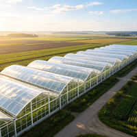 Serres agricoles et tunnels de culture en film plastique pour la culture de tomates à vendre