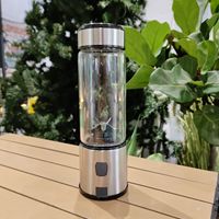 Blender à jus frais, mini blender, blender portable, rechargeable par USB, mixeur à fruits, acier inoxydable, presse-agrumes portable, 5 V, 2 A