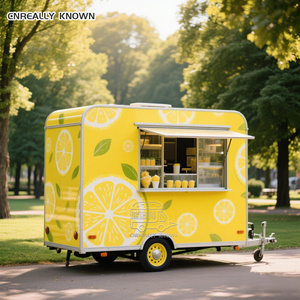 OEM Mobile Cart Towable Food Truck Trailer for Sale in USA - Product Image 6