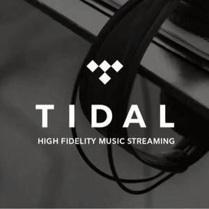 Suscripción Premium a Tidal Music por 12 Meses, Cuentas Tidal, Tidal Hifi Plus 1 Año - Product Image 2