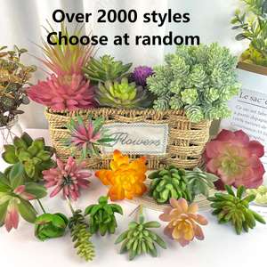 Avec Plantes Bureau Maison Voyage de Saveur Roogo Style <span class=keywords><strong>Japonais</strong></span> Ensemble de 4 Pièces Cadeau avec Petite Plante et Porte-Stylo <span class=keywords><strong>Pot</strong></span> Succulent - Product Image 6