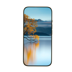 Teléfonos móviles nuevos originales más baratos al por mayor teléfono móvil 14 Pro Max teléfono móvil al por mayor teléfono inteligente 5G - Product Image 6