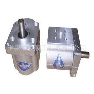 Bombas de Engranajes Bidireccionales Nuevas de la Serie CBS-E(D)304/306/308/310/314/316/320/325 - Product Image 1