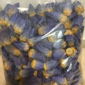 ลดกระหน่ำหลอดดอกบัวสีฟ้า<span class=keywords><strong>หอม</strong></span>จริงดอกบัวอียิปต์ดอกตูมดอกบัวสีน้ำเงินสำหรับชงชา - Product Image 2