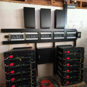 Module de batterie Lifepo4 Dyness 51,2 V 100 Ah 5 kWh certifié Inmetro, montage mural, 6000 cycles, BMS intelligent, batterie de stockage domestique - Product Image 3