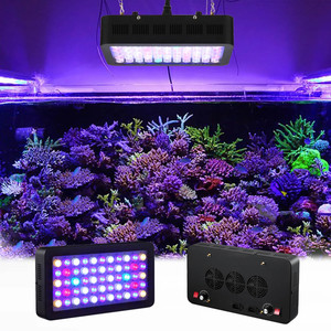 Liweida công suất cao màu xanh Bảng điều chỉnh Aquarium LED chiếu sáng thay đổi quang phổ Dimmer cho bể cá biển rạn san hô bể nước mặn - Product Image 5