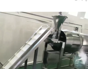 نظام توابل أسطواني واحد للوجبات الخفيفة المقلية ، ماكينة رش الزيت والمسحوق لنكهة الفواكه والخضروات والحبوب والحبوب والحلويات - Product Image 6