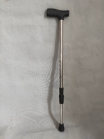 Harga Terbaik Walking Stick