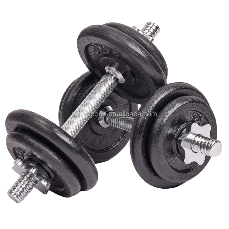 ARTBELL Poids en Fonte Noir 10kg 15kg 20kg pour Home Gym Unisexe
