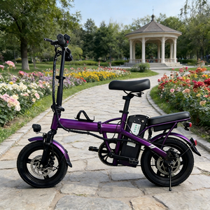 Bicicleta Eléctrica Plegable Compacta de 350W 48V, Fácil de Transportar, Sistema de un Solo Paso, Gran Autonomía, Perfecta para Estudiantes y Viajes Urbanos - Product Image 1