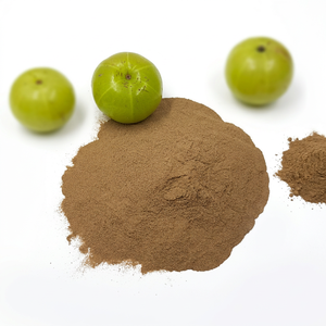 Proveedor Mayorista de Polvo de Fruta de Amla 100% Puro y Natural (Brillo para el Cabello) de la India, Certificado por GMP e ISO - Product Image 1