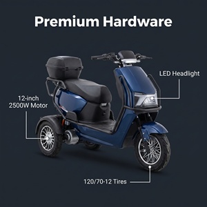 Scooter Eléctrico Inteligente para Adultos con Batería Recargable, Motor sin Escobillas de 2500W, 3 Ruedas Grandes 1. CVP (Proposición de Valor Central) Alto Rendimiento 8 - Product Image 5