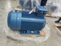 Moteur synchrone à aimants permanents triphasé, efficacité IE5, 208-480V, moyenne tension, 60Hz, 15kW, fréquence variable, usage industriel
