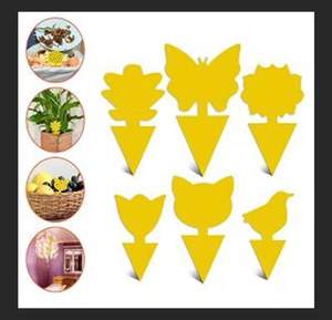 Piège à <span class=keywords><strong>papillons</strong></span> ou d'autres dessins animés, double face, collant, bleu et jaune, design de bande dessinée - Product Image 5