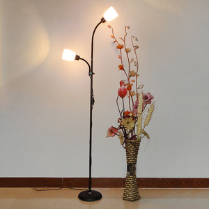 Công Nghiệp Gió Đơn Giản Sắt Trang Trí Nội Thất Chiếu Sáng Đèn Sàn Phòng Ngủ Phòng Khách Đôi Đầu Arylic Hoa Đèn Sàn - Product Image 2