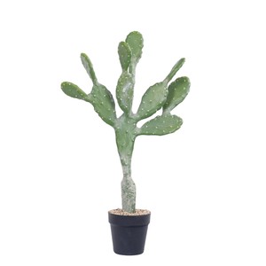 Cactus artificiel Dream Castle Leon de 30 cm à 100 cm, plante décorative d'intérieur sur pied - Product Image 5