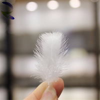 Vente en gros 2-4cm 4-6cm 10%-95% remplissage doux naturel blanc plumes de canard matériel de remplissage 90% blanc plumes d'oie en vente
