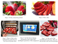 Huchuan High-Efficiency Huishoudelijke Vriesdroger Machine Voor Groenten En Fruit