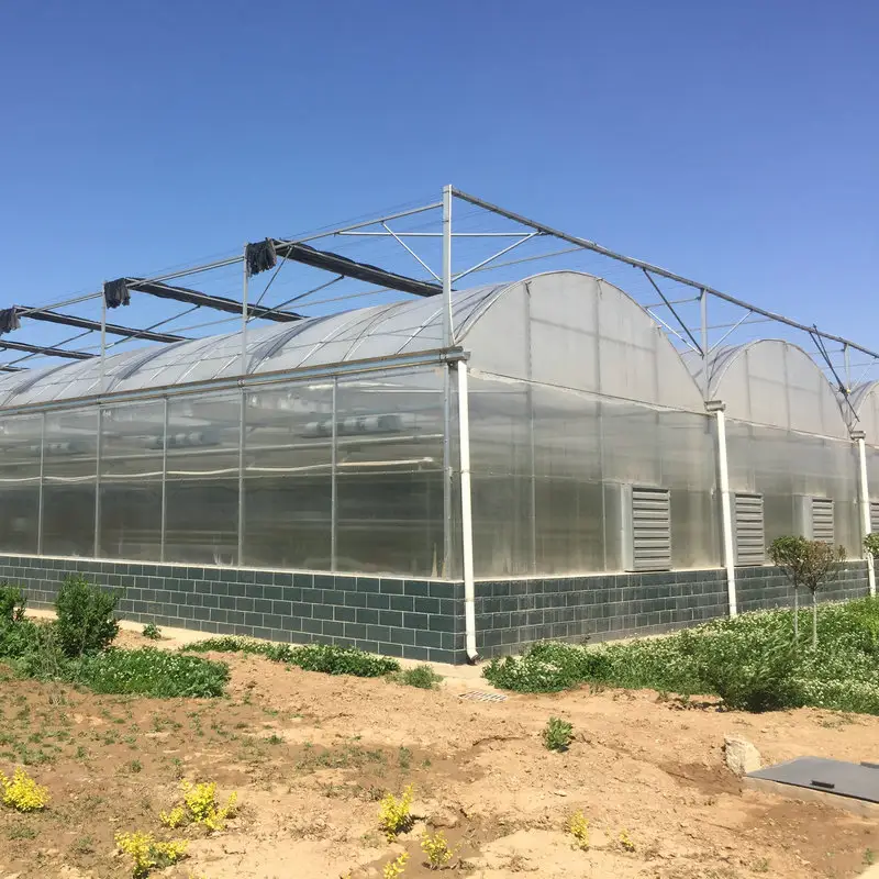 China commercial greenhouse poly film multi span greenhouse for growing tomatoes cucumber lettuce