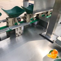 Kehong Box Type Gewichtssorteermachine Hoge Efficiëntie Automatische Sorteerapparatuur Met Aanpasbare Cijfers voor Ronde Producten
