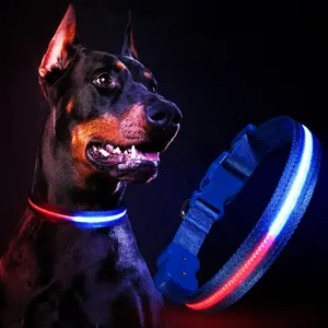 Mais novo impermeável iluminado Strip personalizado Dog Collar 250 mAh Tipo C recarregável LED piscando Dog Collar Luz