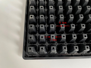 Factory-Made Wholesale Reusable 105 Cells Black Plastic <strong>PVC</strong> Seedling <strong>Tray</strong> for <strong>Flower</strong> Seedling Youfeng Brand Model A-105 - Product Image 4