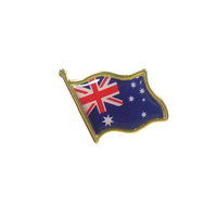 Drapeau de la Nouvelle-Zélande en métal peint pour la démonstration, épingles Kiwi néo-zélandaises, lot de badges patriotiques néo-zélandais, cadeaux souvenirs