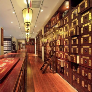 Atacado bai zhu alta qualidade branco <span class=keywords><strong>atractylodes</strong></span> rizoma variedade de materiais medicinais chineses compras one-stop completo - Product Image 5