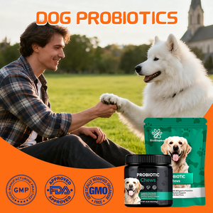 Biobiopaw Probiotische Kauwtabletten voor Honden, 6-Stammen Lactobacillus, Ondersteuning Darmgezondheid, Op basis van Advies van Dierenartsen, Gezondheidszorgsupplementen - Product Image 6