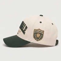 Chapeau de papa ajustable en coton Vintage unisexe en gros casquette de baseball vierge casquettes de sport en détresse teintes